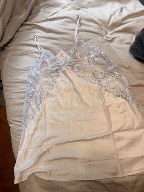 Satin Slip Chemise with Pale Blue Lace Trim - Women's